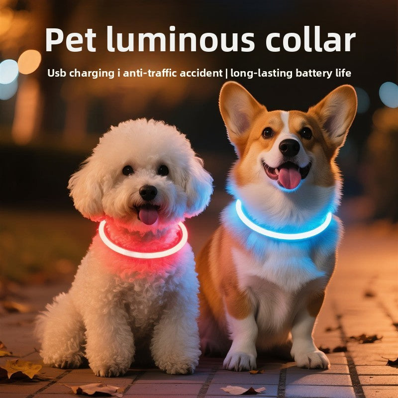 Trim to fit LED dog collar glowing in bright colour, product image 1