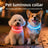Trim to fit LED dog collar glowing in bright colour, product image 1