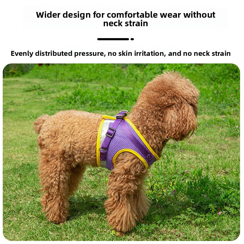 Breathable mesh harness and lead set for cats and small dogs in purple, view 3