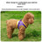 Breathable mesh harness and lead set for cats and small dogs in purple, view 3