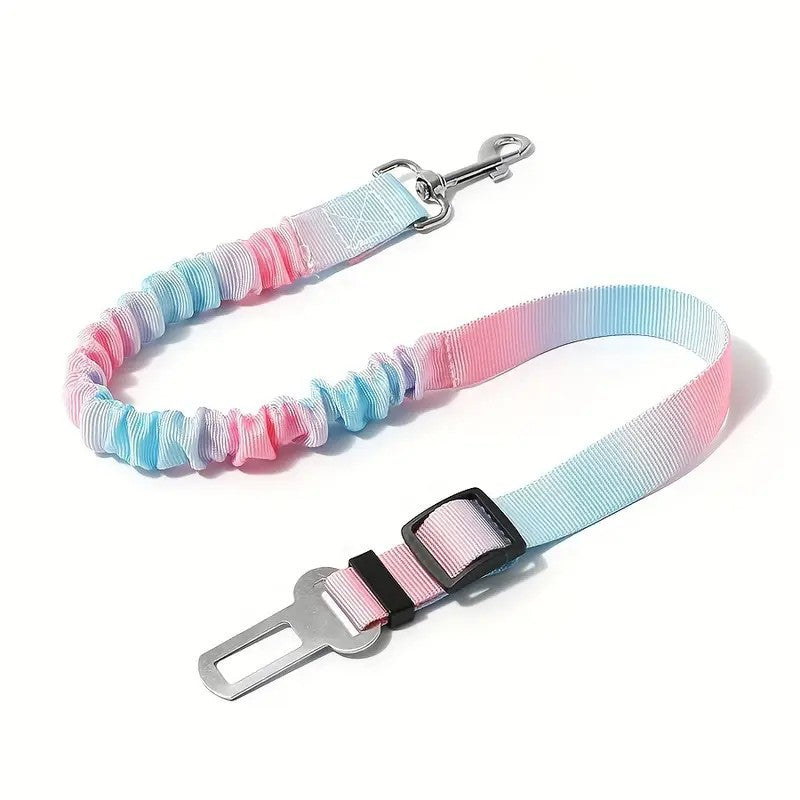 Gradient elastic dog car seat belt, close-up detail view