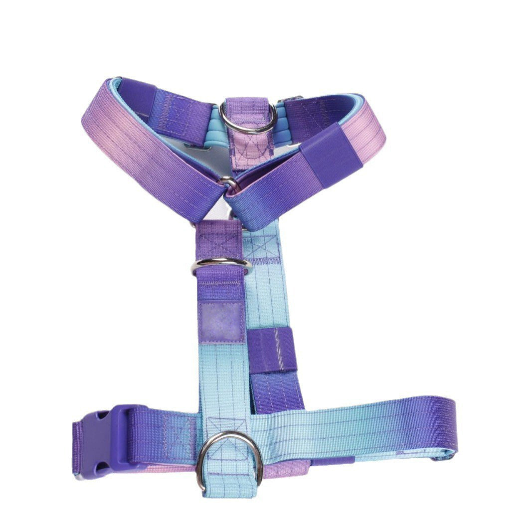 Gradient dog collar and lead, available from Pet Royale UK