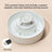 Pet water dispenser