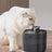 Quiet Automatic Circulating Pet Water Fountain with Replaceable Filters for Cats and Dogs
