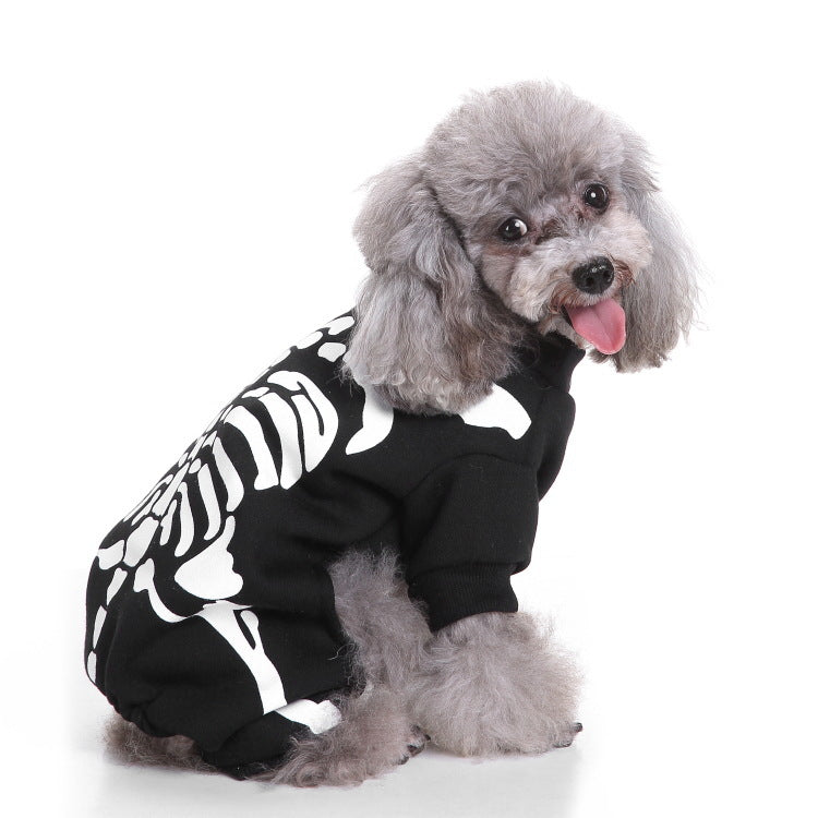 Small dog in a Christmas penguin costume with velcro fastening