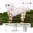 Four leg dust proof dog suit, available in 18 styles, image 8