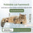Foldable cat window hammock with suction cups, photo 1 of 52