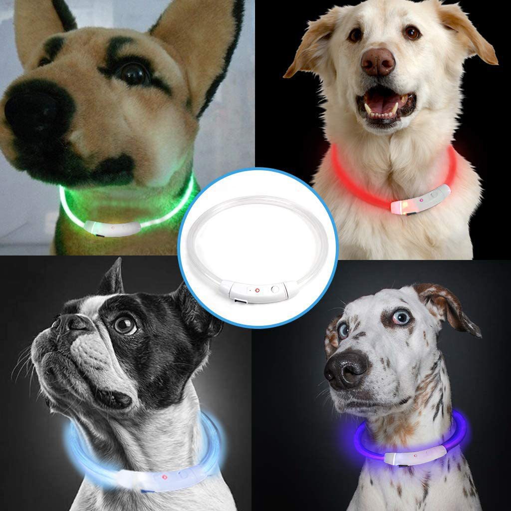 USB rechargeable LED silicone dog collar in Orange Fibre Optic, showing size and shape