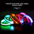 Light up dog collars in eight colours with reflective strip