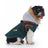 Waterproof padded British style dog winter coat, showing size and shape