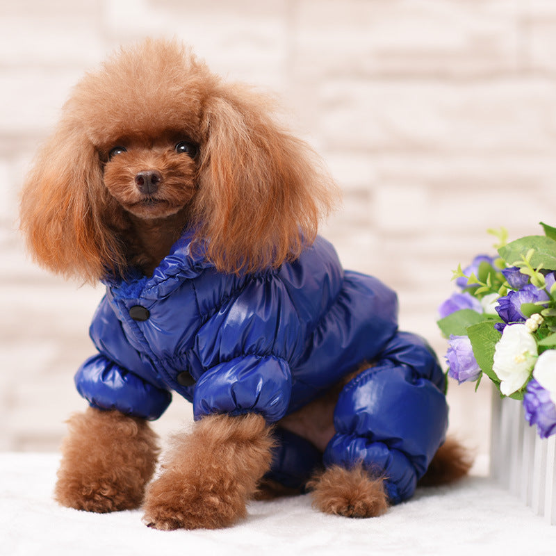Thick fleece four-leg dog onesie in Mint, in a home setting