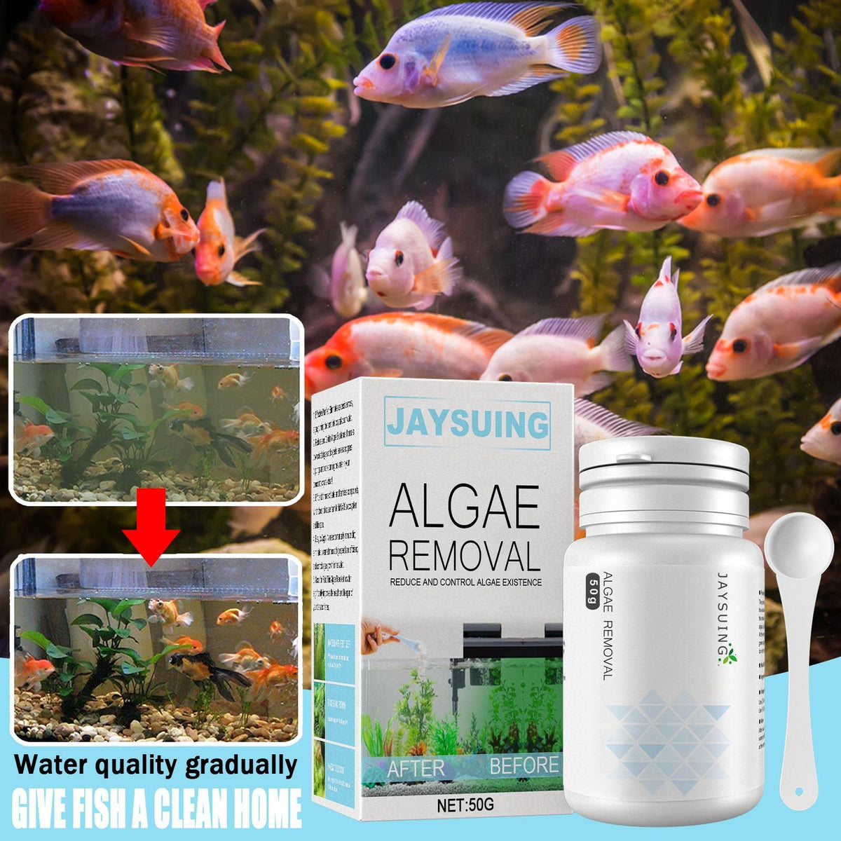Aquarium Algae Remover Powder or Tablets 50g with Spoon