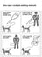 Tiny dog vest harness and lead set, available from Pet Royale UK