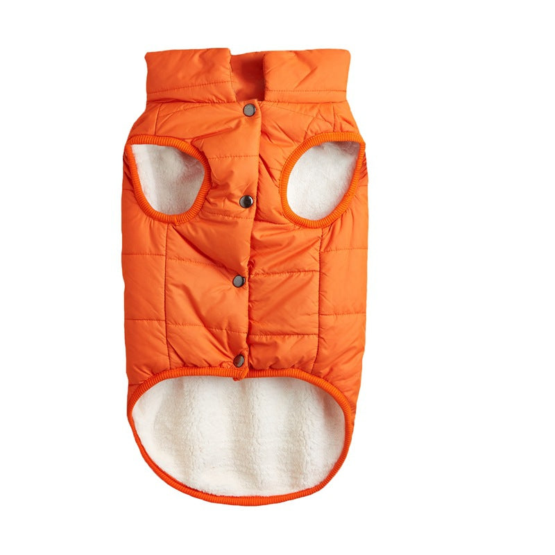 Small dog in a navy padded button up vest