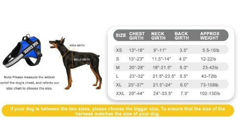 Reflective dog harness and lead set, available from Pet Royale UK