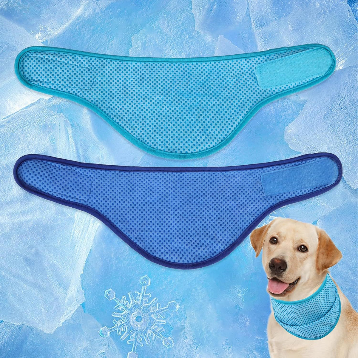 Dog wearing a two tone cooling bandana in sky blue
