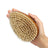 Wooden Handle Pet Bath Massage Brush with Soft Bristles