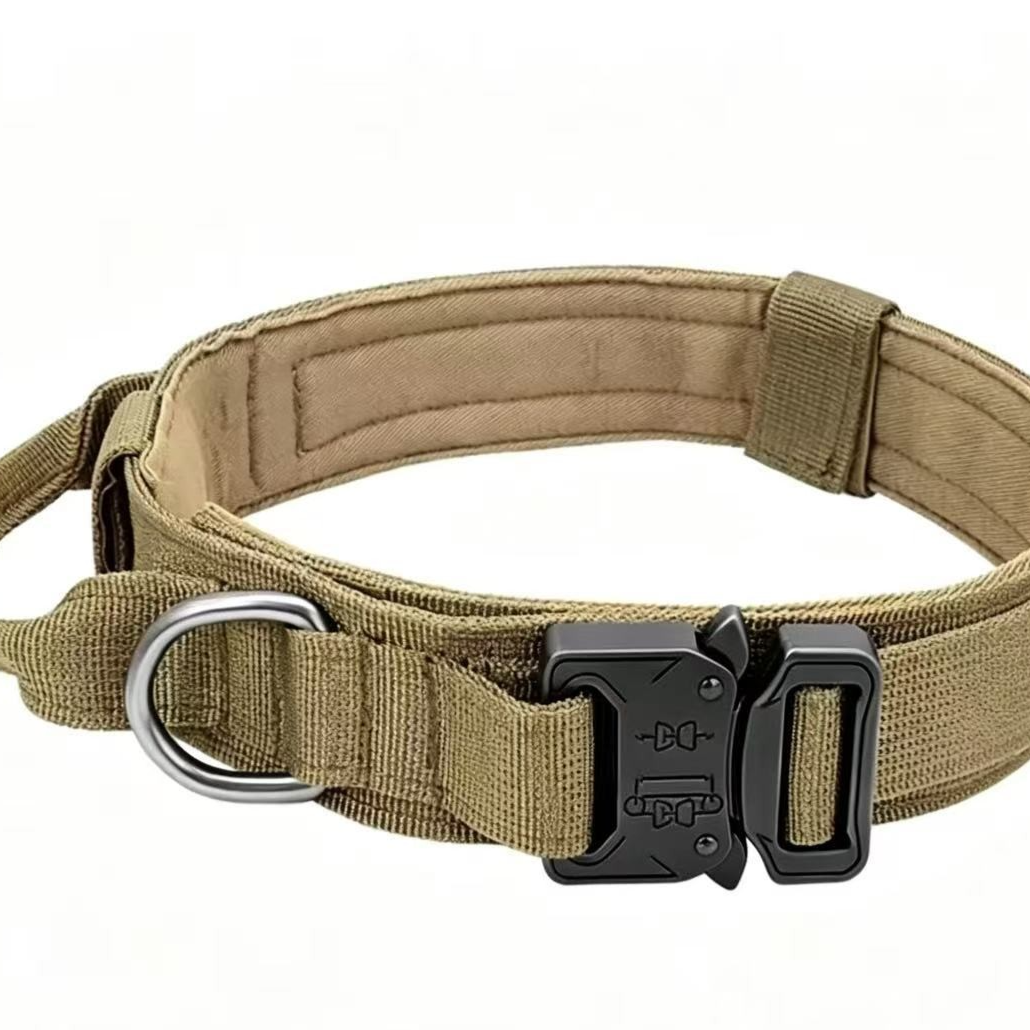 Tactical nylon dog collar with handle, main product photo