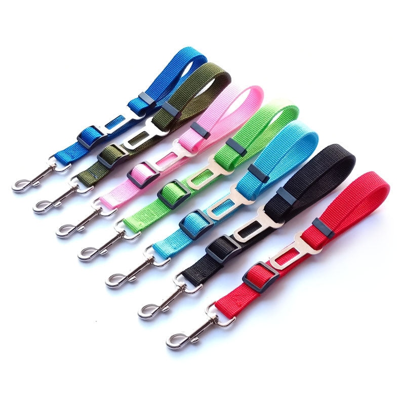 Car seat belt leads for dogs in eight bright colours