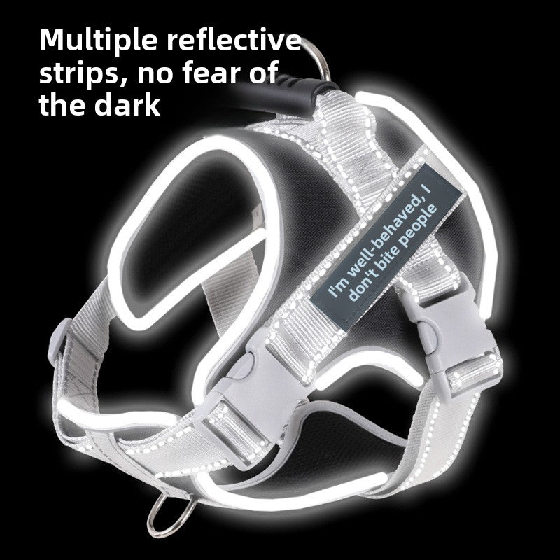 Reflective no-choke dog harness, ideal for everyday use