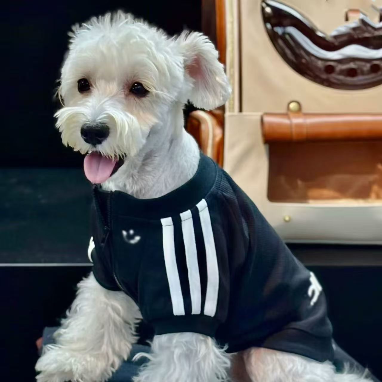 Fleece lined outdoor dog jacket, available in 2 colours, sizes Small to 2XL, image 5