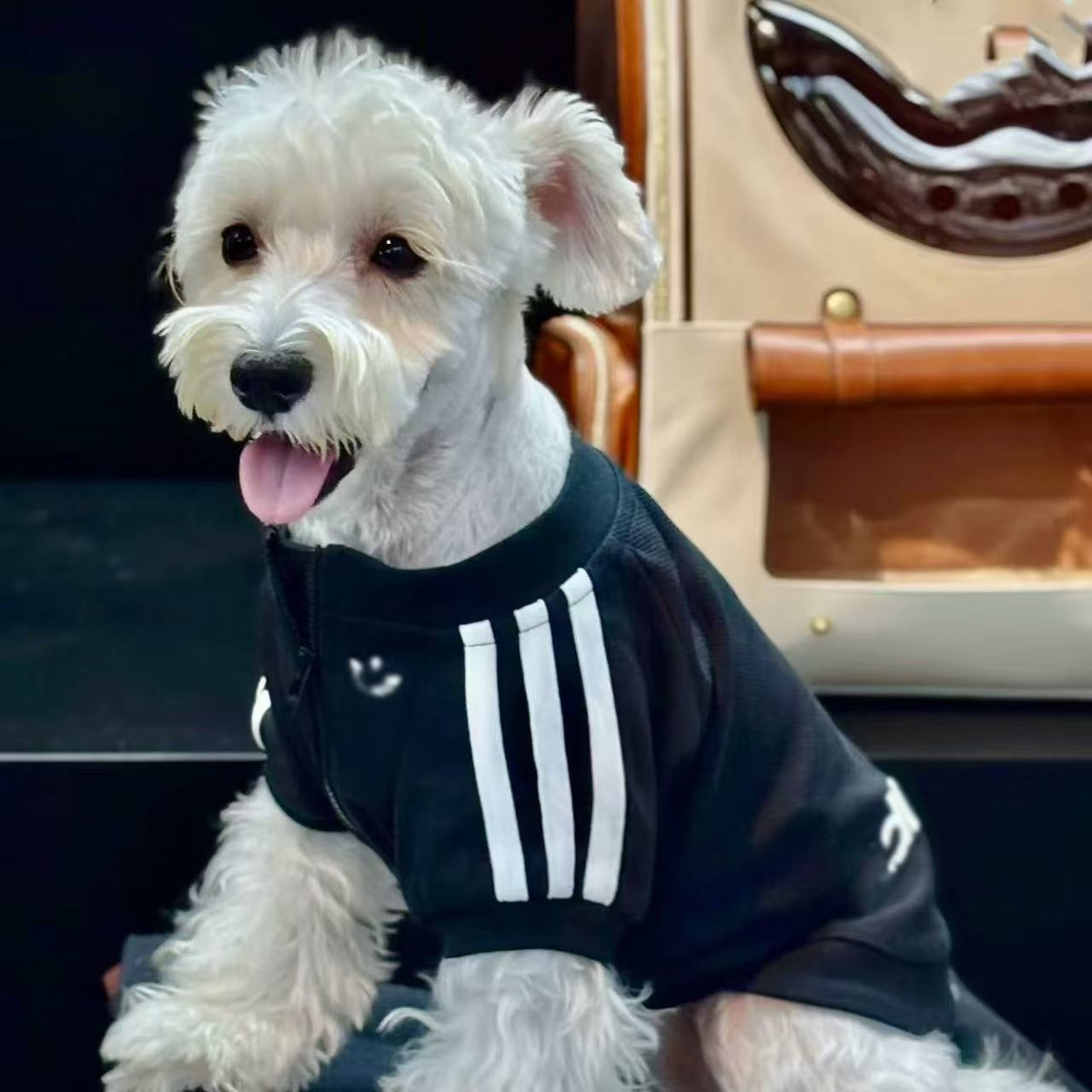 Fleece lined outdoor dog jacket, available in 2 colours, sizes Small to 2XL, image 5