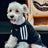 Fleece lined outdoor dog jacket, available in 2 colours, sizes Small to 2XL, image 5