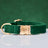 Soft velvet dog collar with metal buckle, 4 sizes available