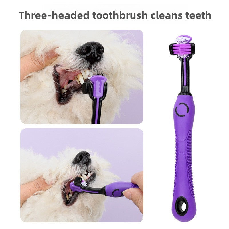 Pet Grooming Tool Set with Comb, Nail Clippers and Nail File