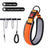 Adjustable dog collar with optional lead, ideal for everyday use