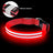 LED light-up dog collar, 3 sizes available from Pet Royale UK