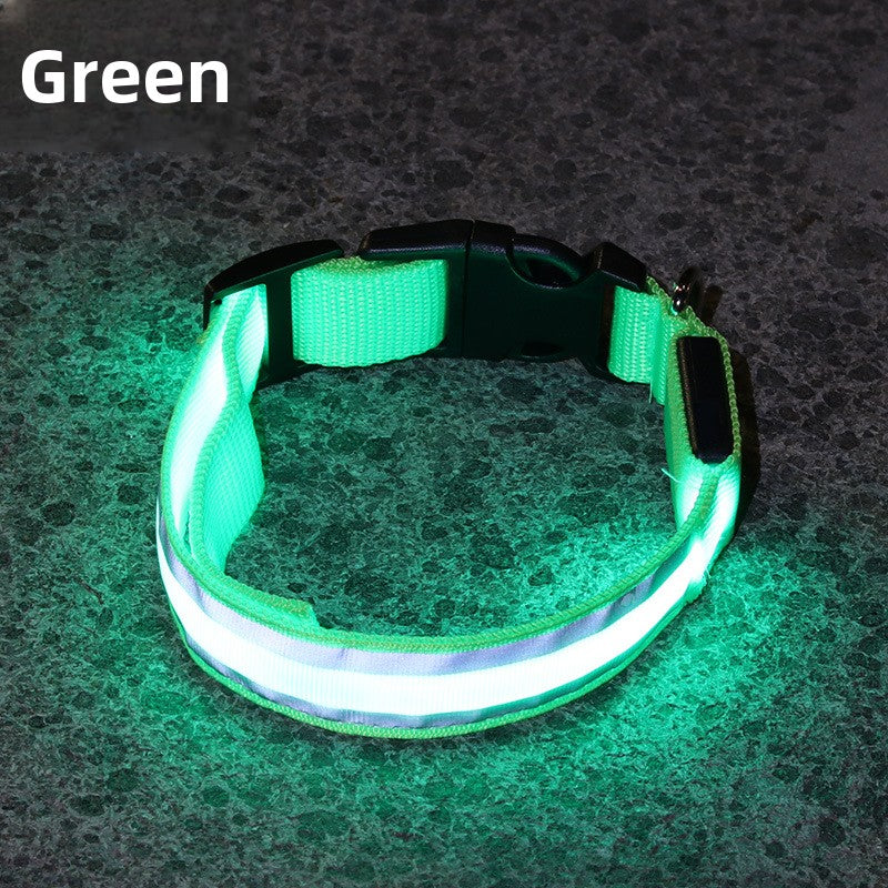 Light up dog collars in eight colours with reflective strip