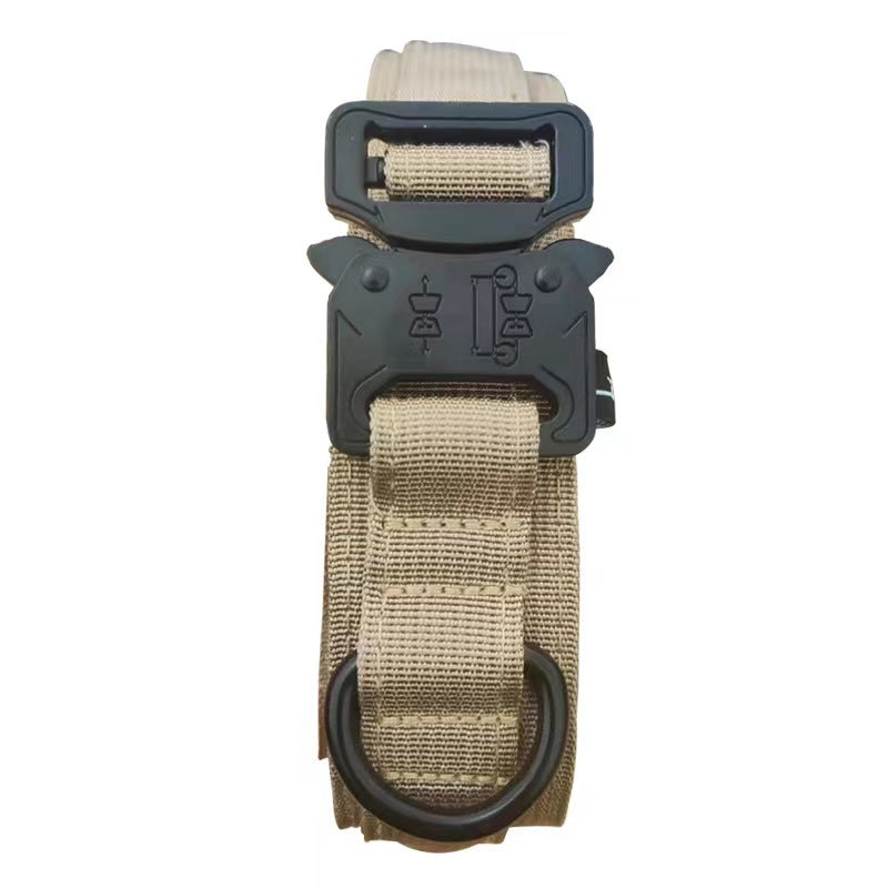 Tactical nylon dog collar with handle, ideal for everyday use