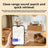 Smart pet locator tag on a black collar for dogs and cats