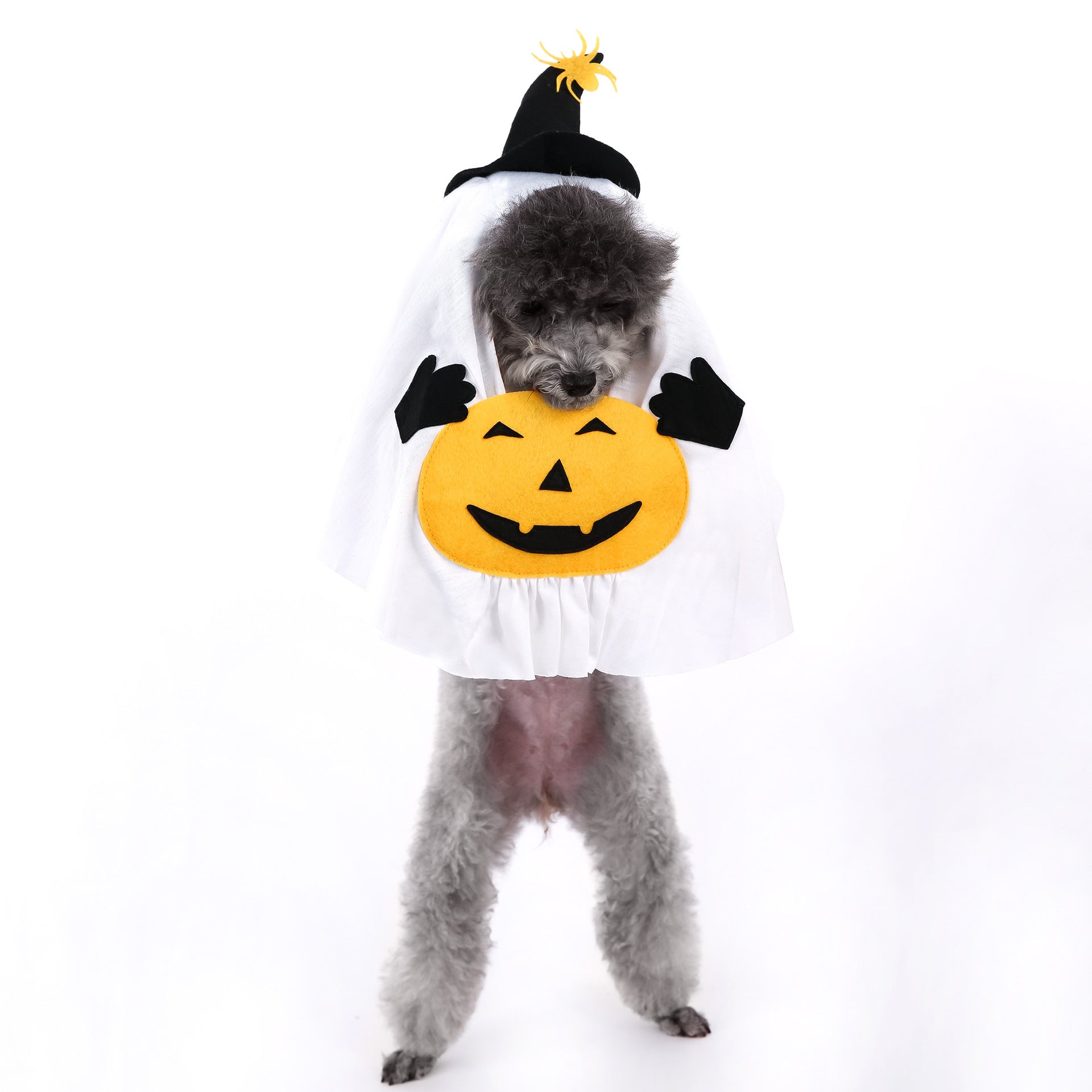 Small dog dressed in a pumpkin ghost Halloween costume