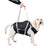 Reflective support dog harness with lift handle, ideal for everyday use