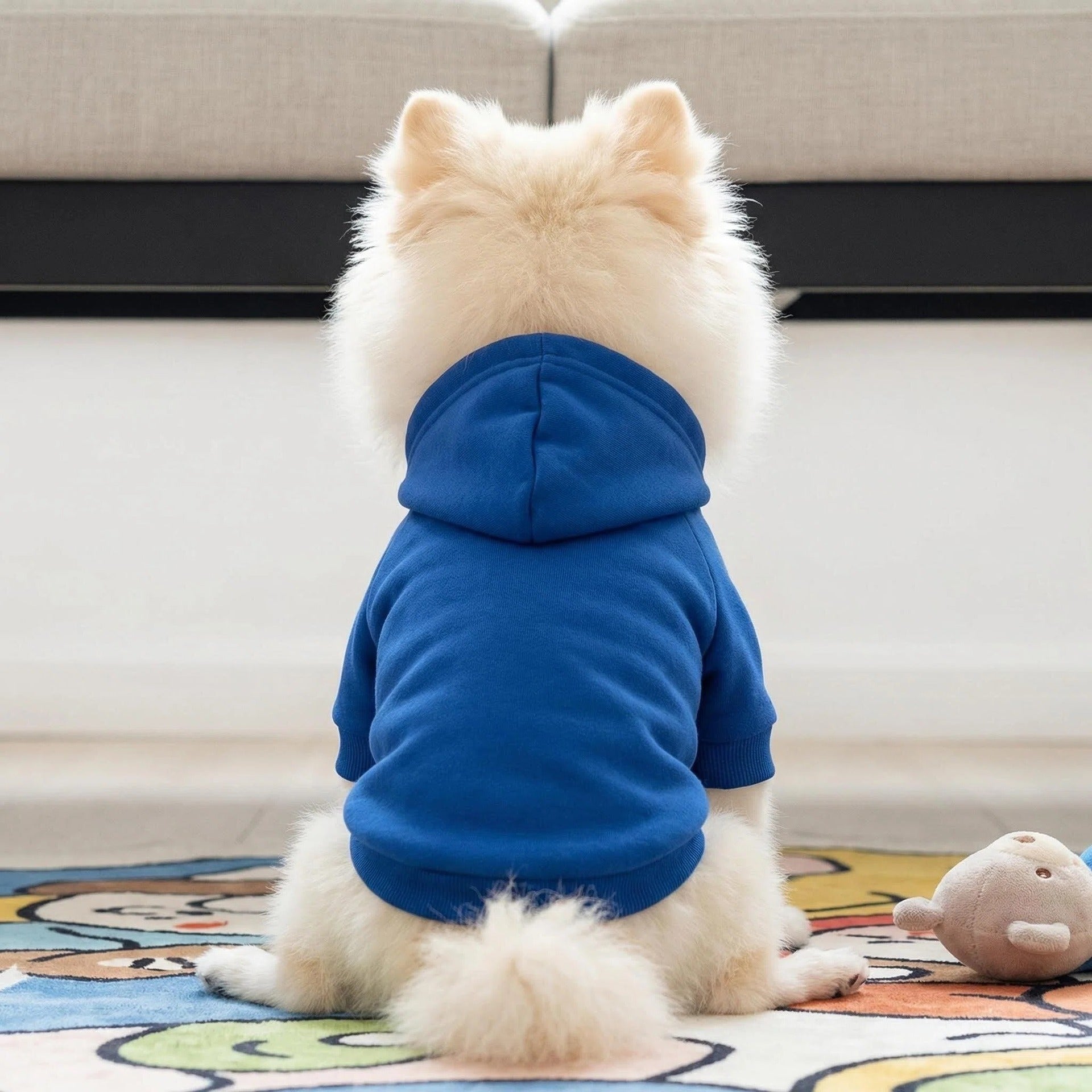 Lightweight Dad print pet hoodies shown in five colours