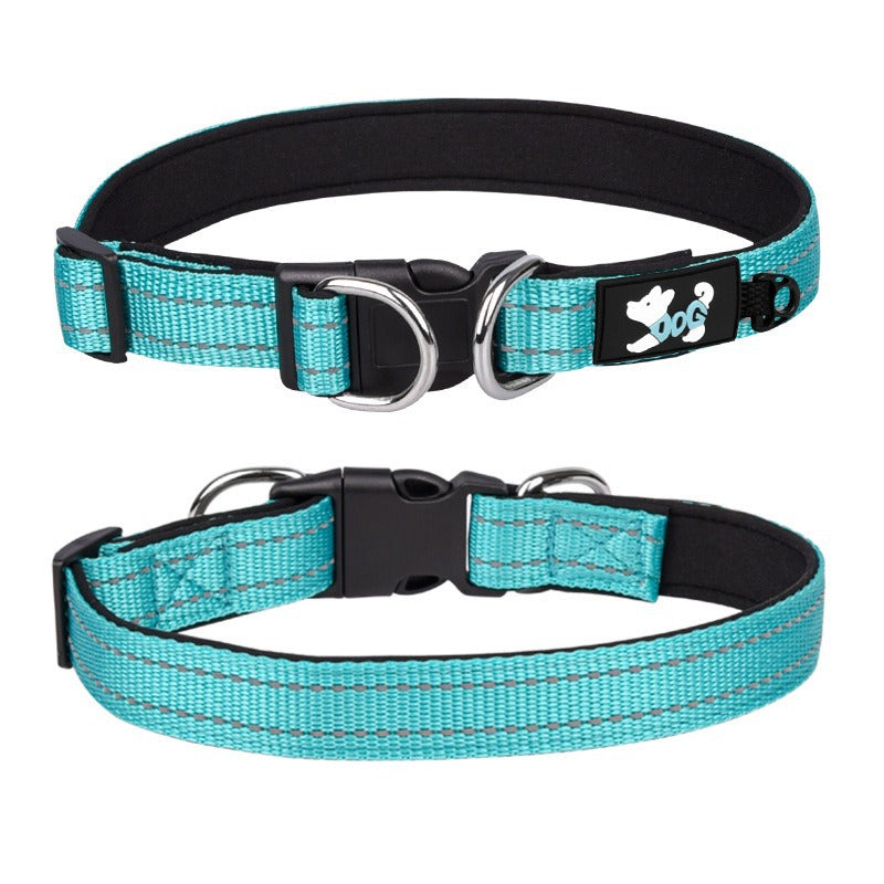 Reflective padded dog collar with locking buckle in Turquoise Green, showing size and shape