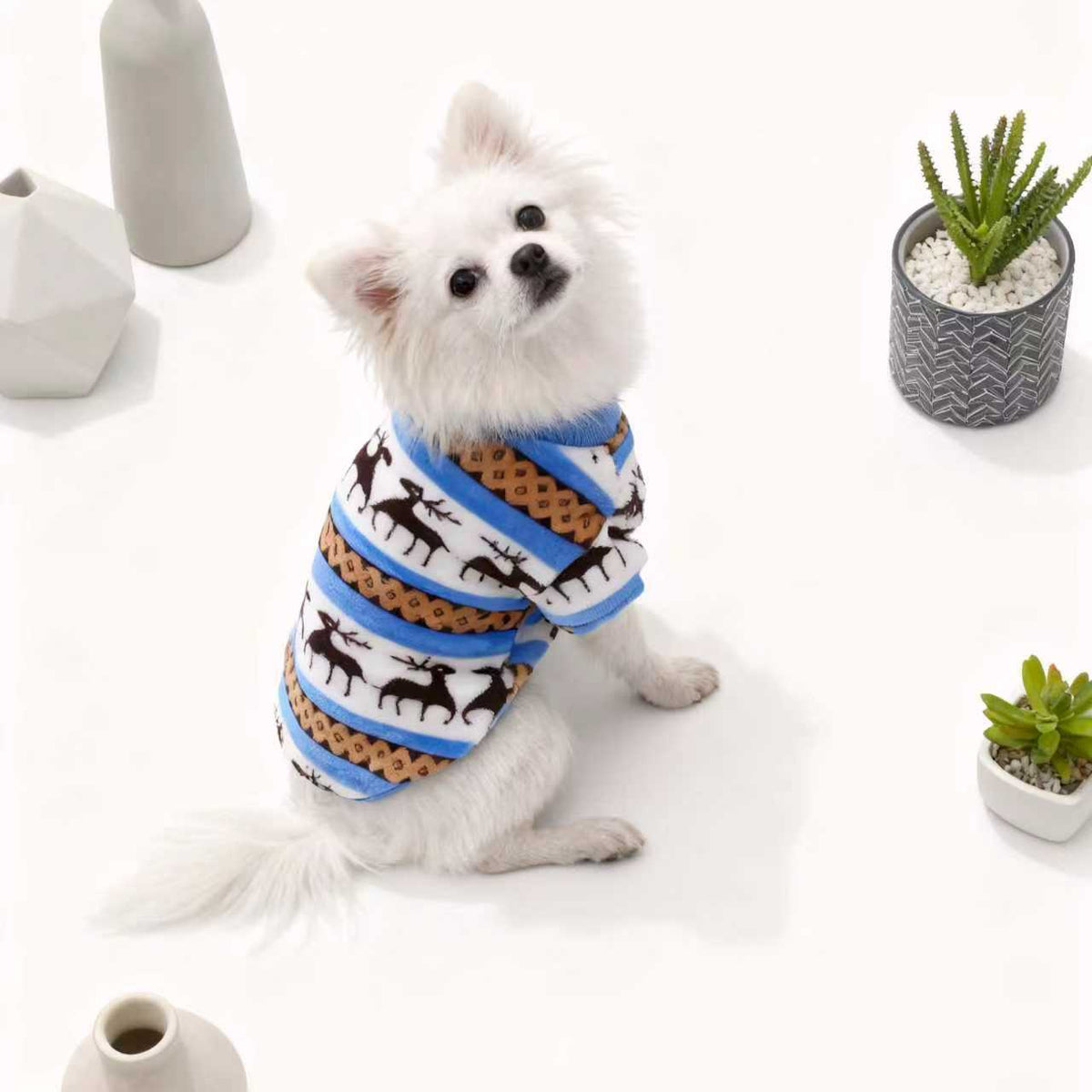 Dog wearing a red Christmas snowflake and reindeer top