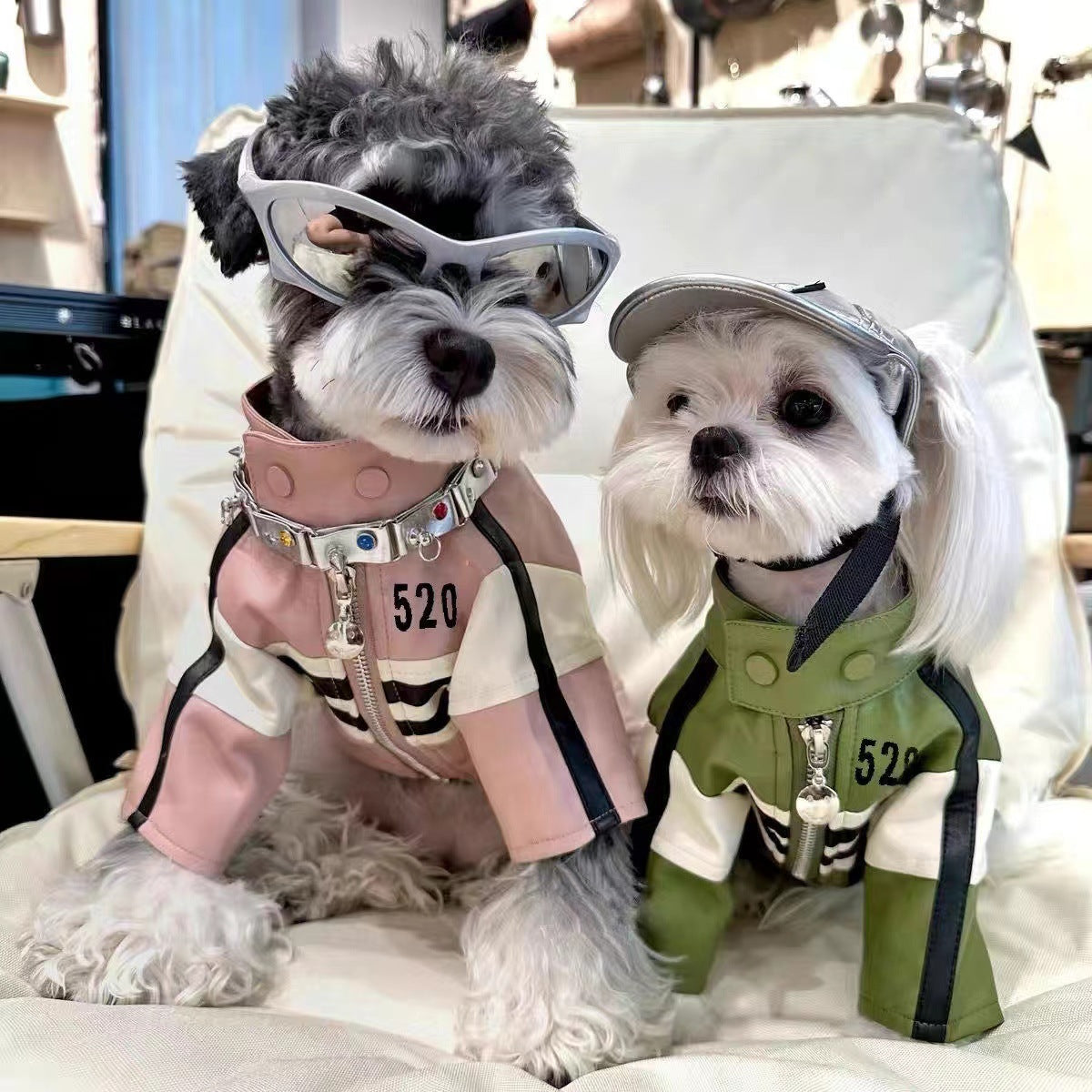 PU biker jacket for small dogs, available in 2 colours, image 1
