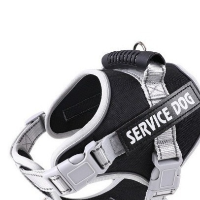 Reflective breathable mesh dog harness, ideal for everyday use