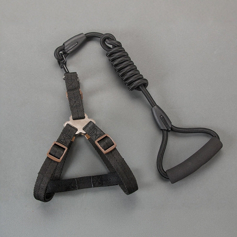Padded nylon dog harness set with matching collar and lead in red