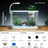 Small desktop plastic fish tank with clear cover and air pump, view 19