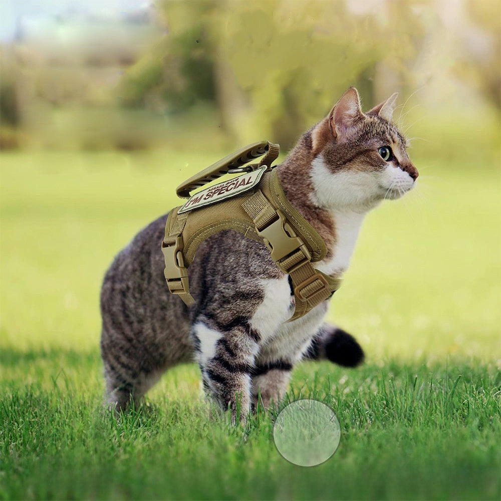 Black tactical cat harness with matching lead and embroidered patches