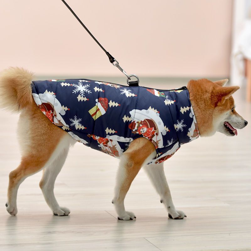 Thick padded windproof dog vest for winter in Crimson, in a home setting