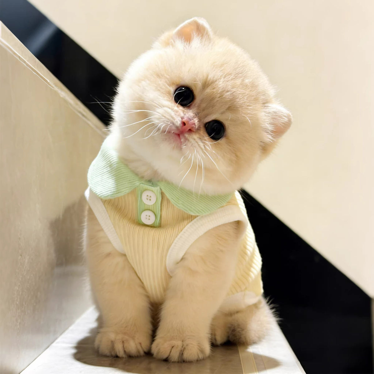 Pet polo shirt for small dogs and cats, available in 3 colours, image 8