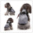 Windproof hooded dog jacket with zip front in Dark Grey, close-up detail