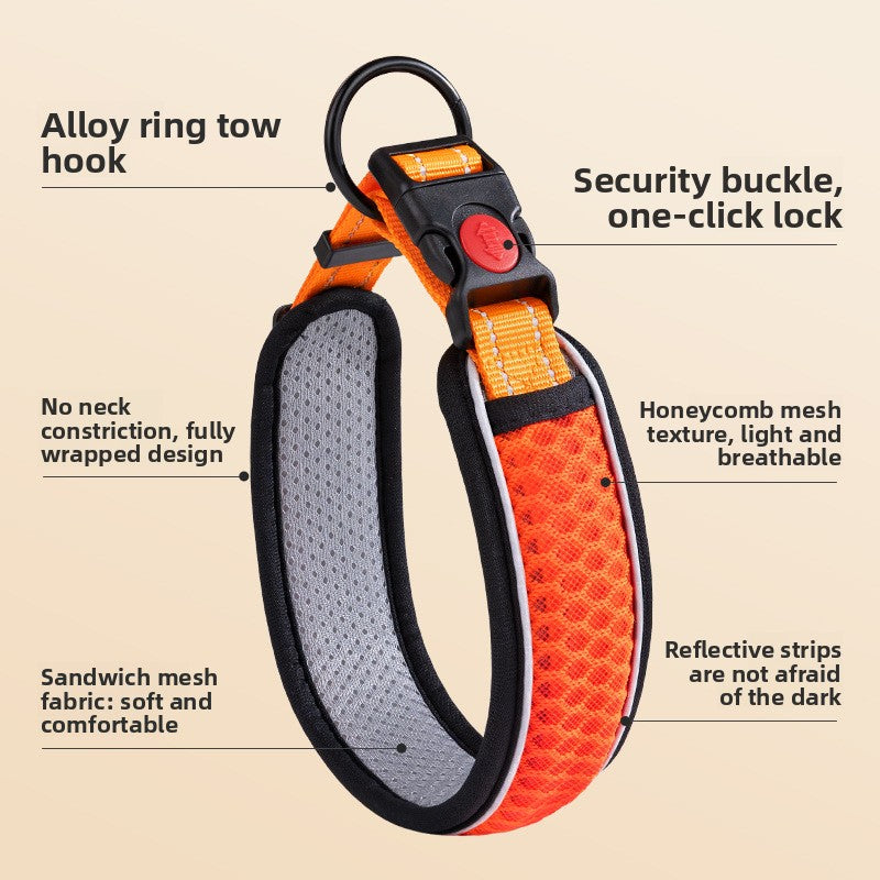 Adjustable dog collar with optional lead, available from Pet Royale UK