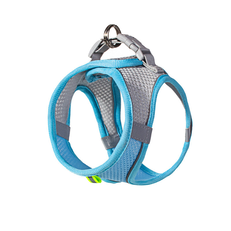 Two-tone padded harness and lead set, ideal for everyday use