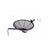 Tray bird feeder